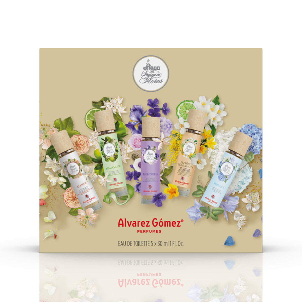 Discovery Set Aguas Frescas
