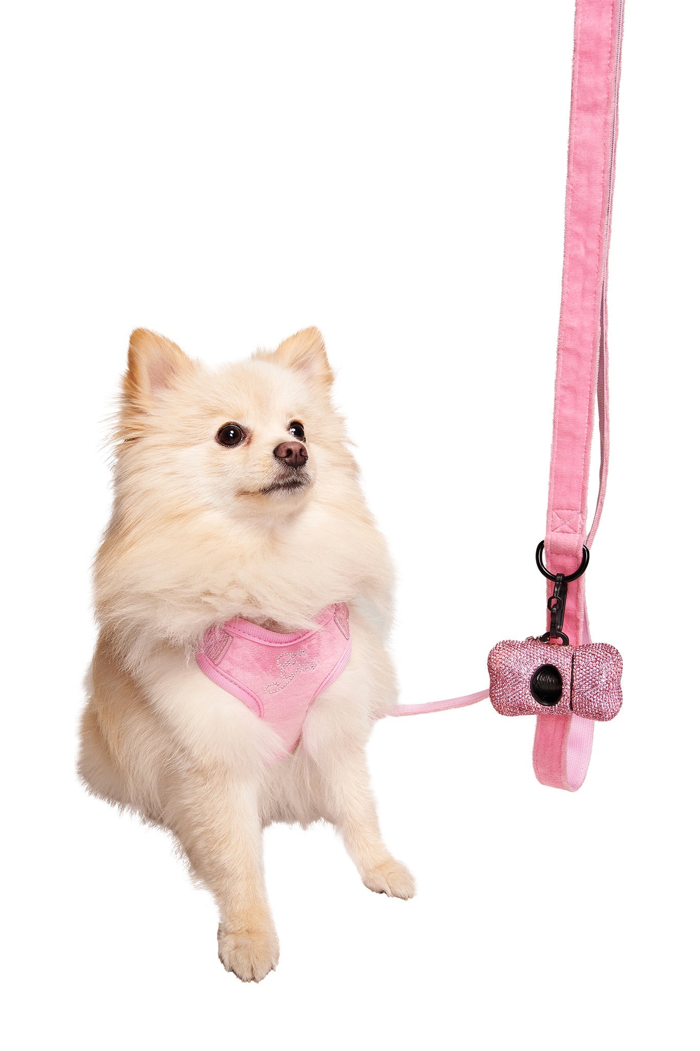 STAR PAWFECT 3-PIECE SET - BABY PINK