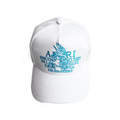 AMR CAP