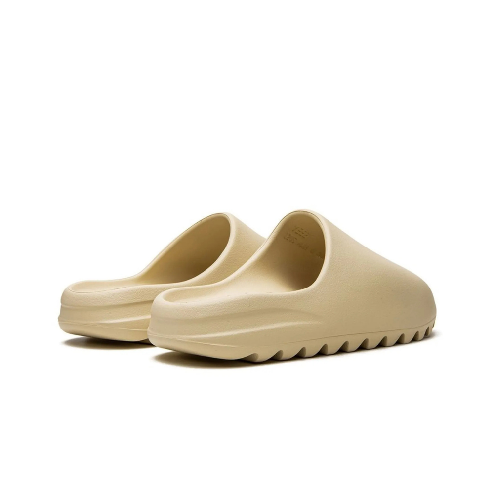 SLIDES BONE