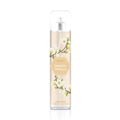 Body Mist Dreamy Vanilla