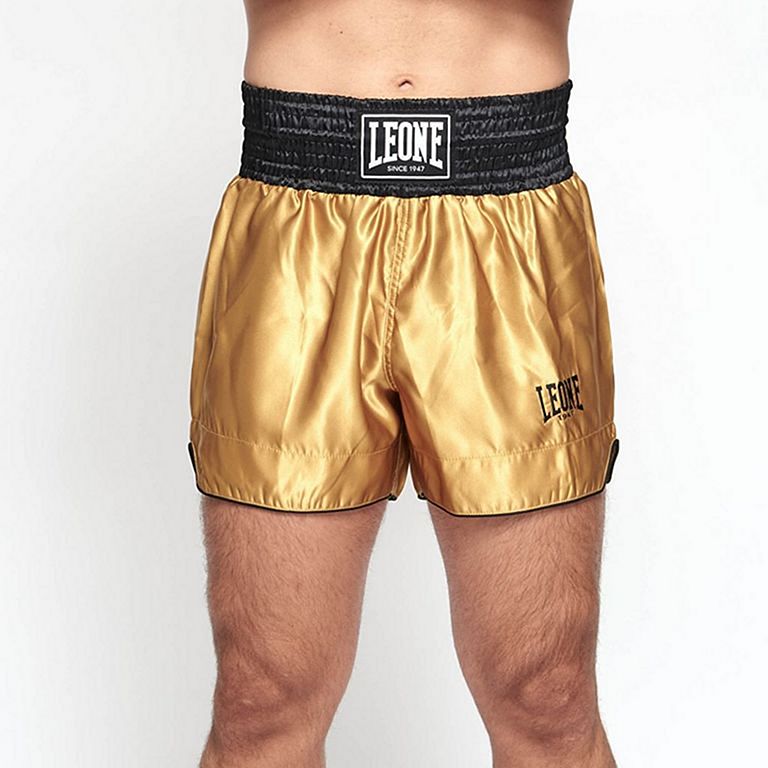 Leone 1947 Basic Muay Thai Shorts Black-Silver