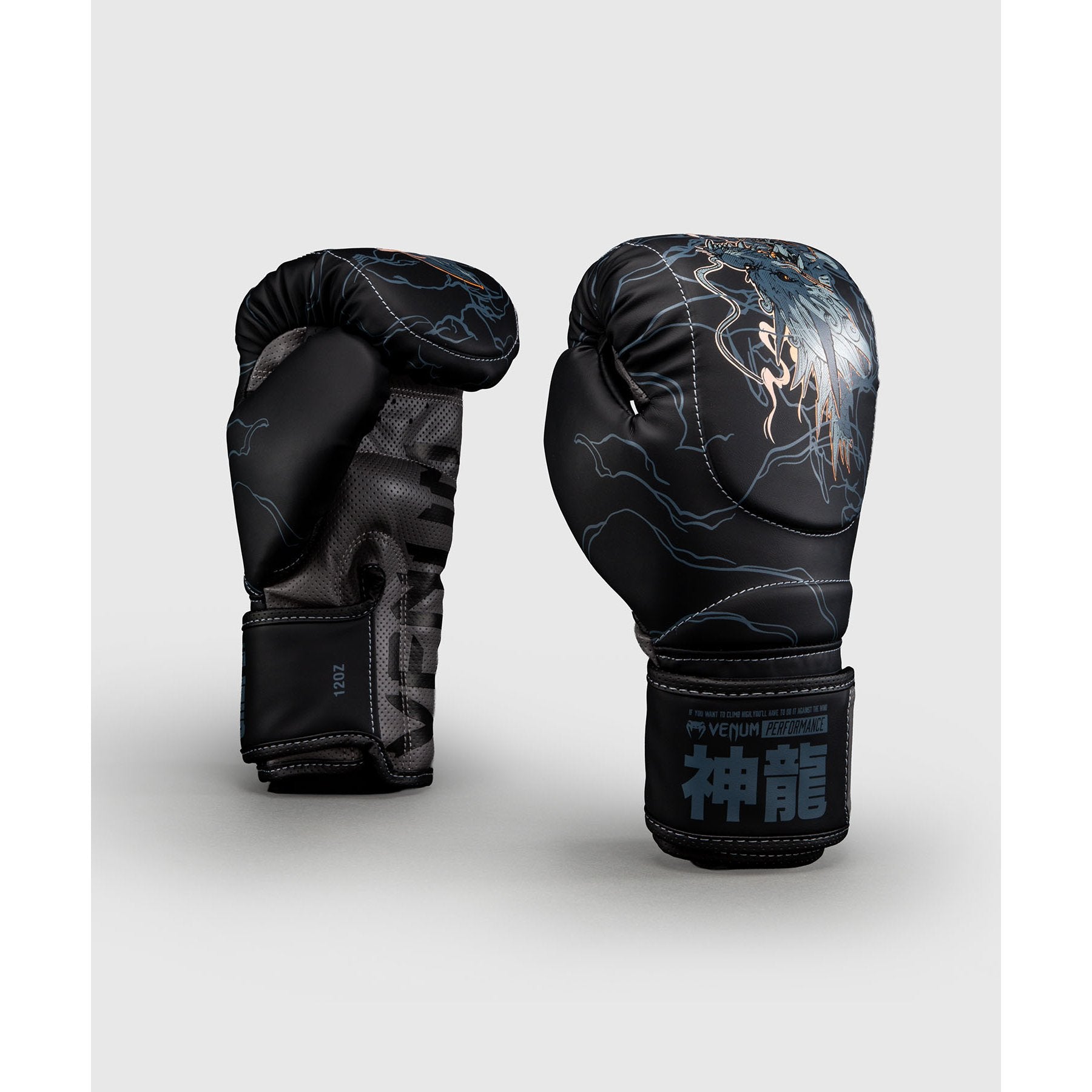 Venum Thunder Dragon Boxing Gloves Black-Blue